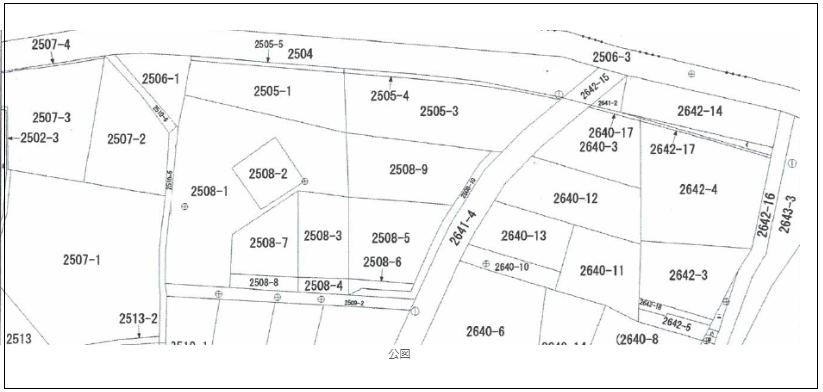 登記情報提供サービス：公図（地図）